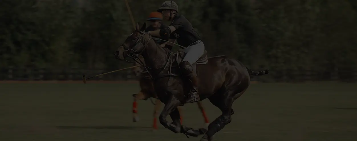 Polo Player at Fortloc sponsored polo party
