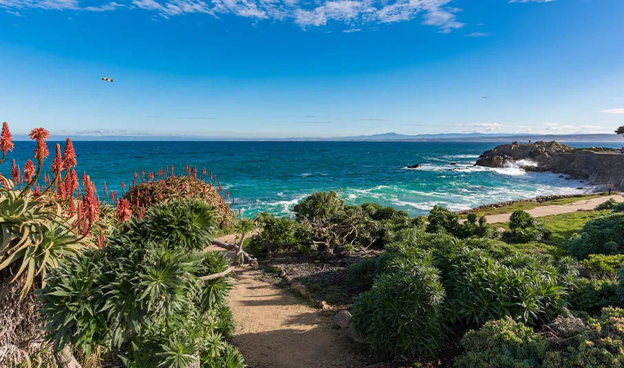 Hiking trail close to a beach in Monterey
