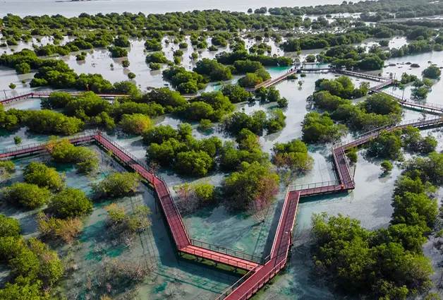 Jubail Mangrove Park