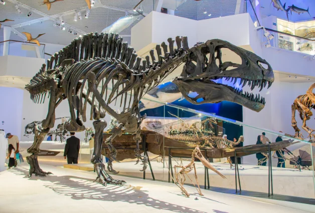 Natural History Museum
