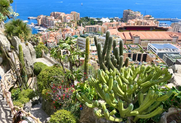 Jardin Exotique