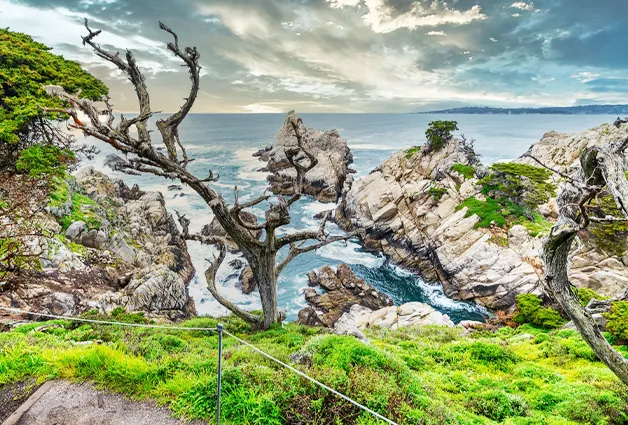 Point Lobos State Natural Reserve