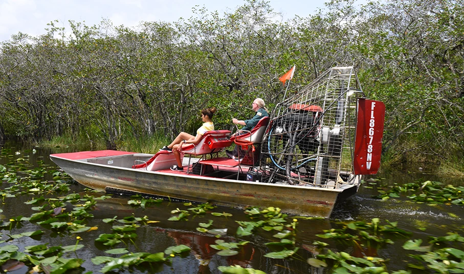Exploring the Everglades in South Florida