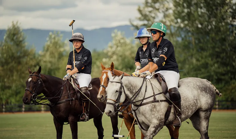 Polo Athletes - Horse and Rider