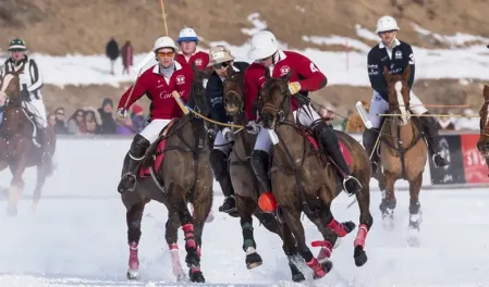 snow polo