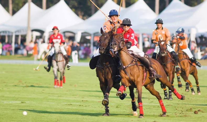 The sport of kings around the world