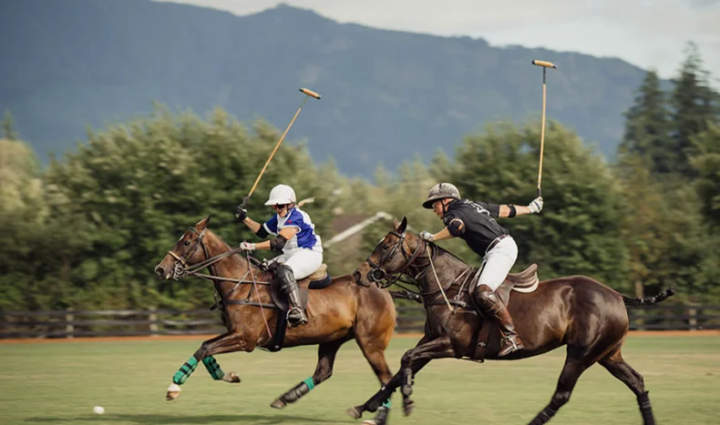 The sport of kings around the world