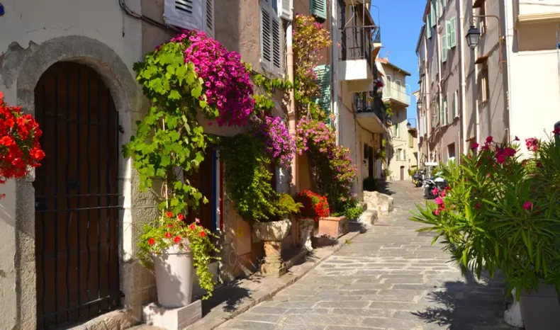 Le Suquet