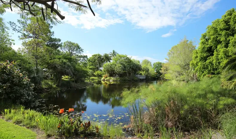 Mounts Botanical Garden