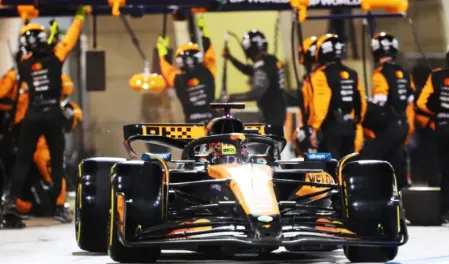 McLaren F1 Driver