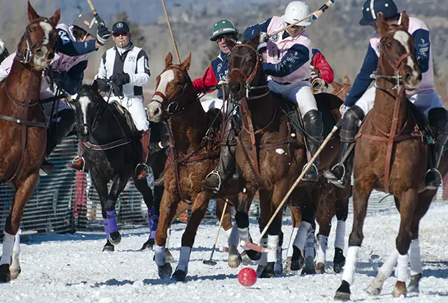 Aspen Snow Polo - The Sport of Kings with a little Powder