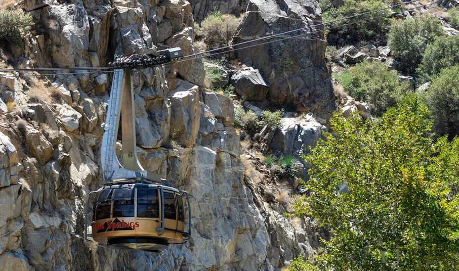 Destination Polo: Palm Springs and the Coachella Valley.