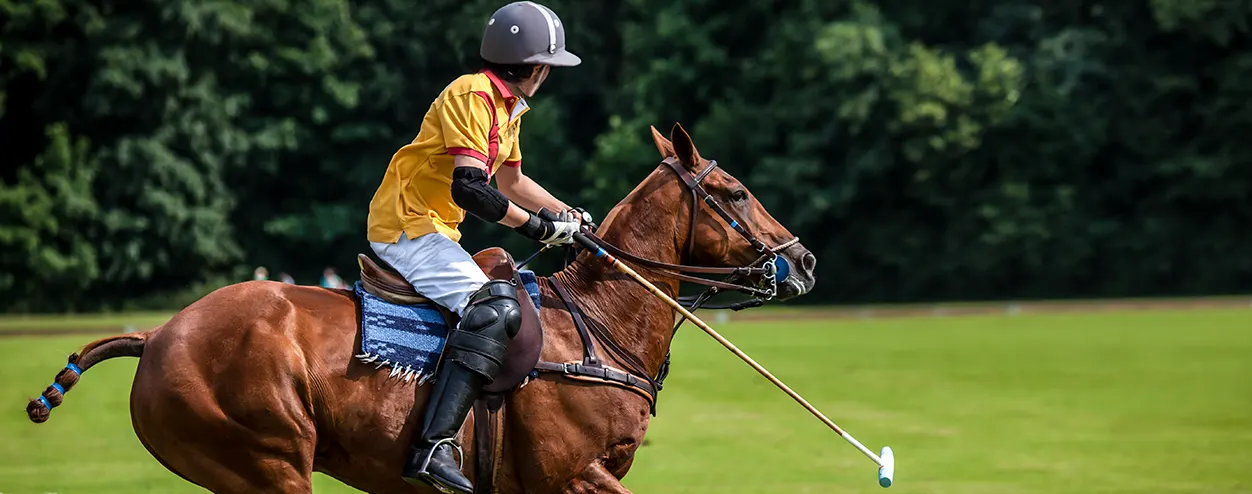 Polo Player