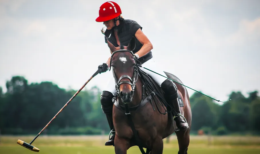 Polo Player