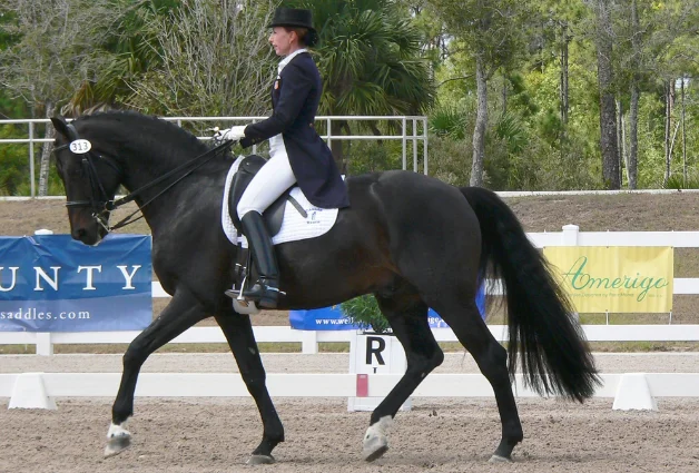An Insider's Guide to Equestrian Life in Wellington