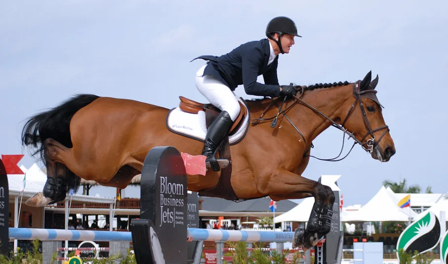 Show jumping on Wellington Florida