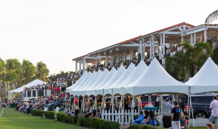 Polo spectators