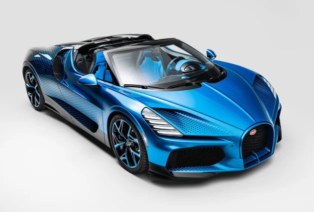 Bugatti W16 Mistral ‘Fly Bug’ - A Bespoke Tribute to the Natural World
