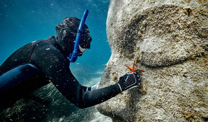 Underwater Museum in Cannes France