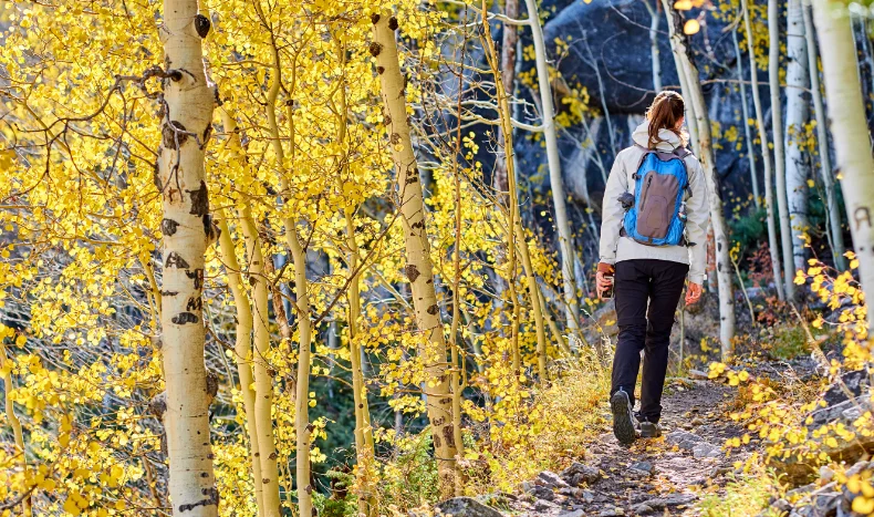 Hiker in Aspen