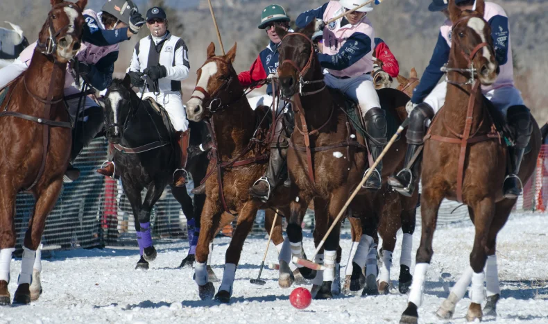Snow Polo