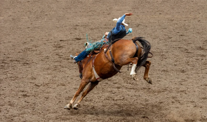 Rodeo
