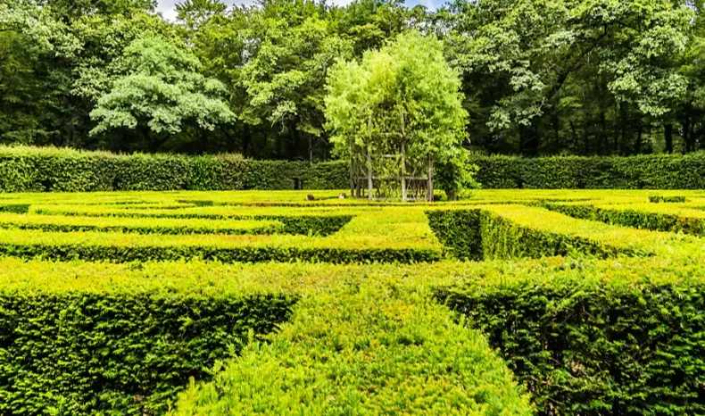 Chateau-de-Chenonceau