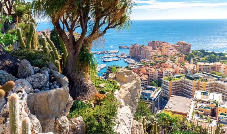 Jardin Exotique de Monaco