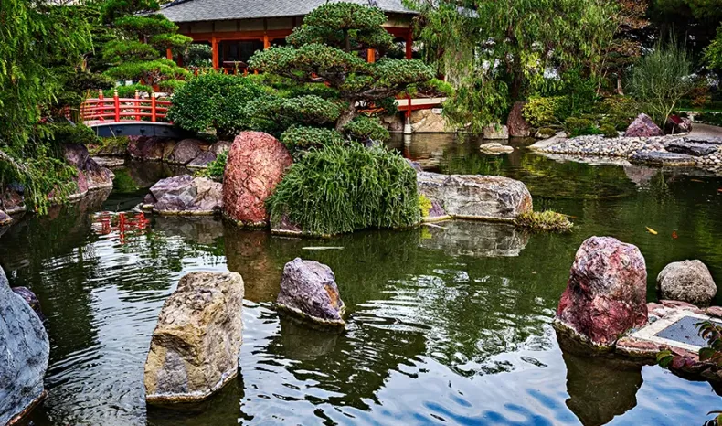 Jardin Japonais