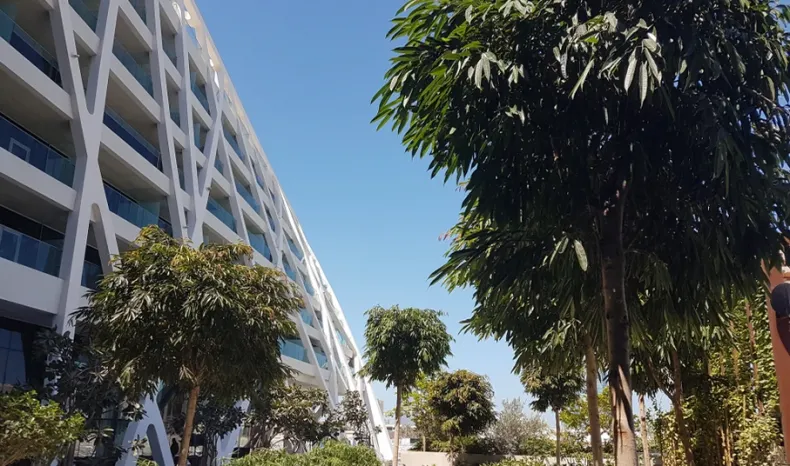 Abu Dhabi Edition