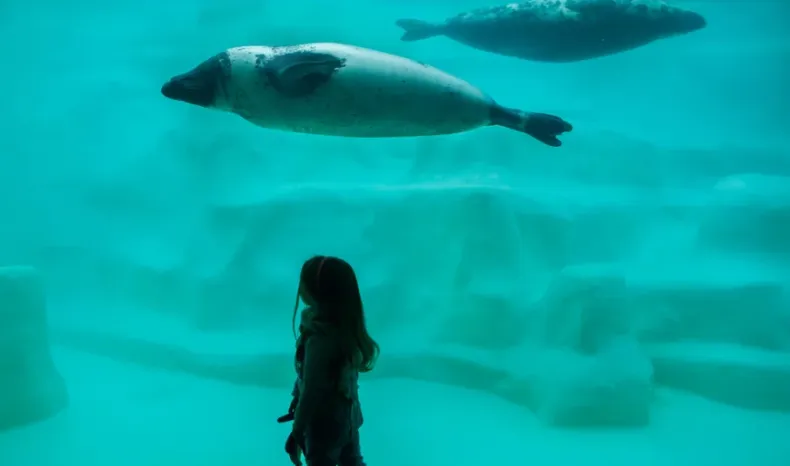 Biarritz Aquarium