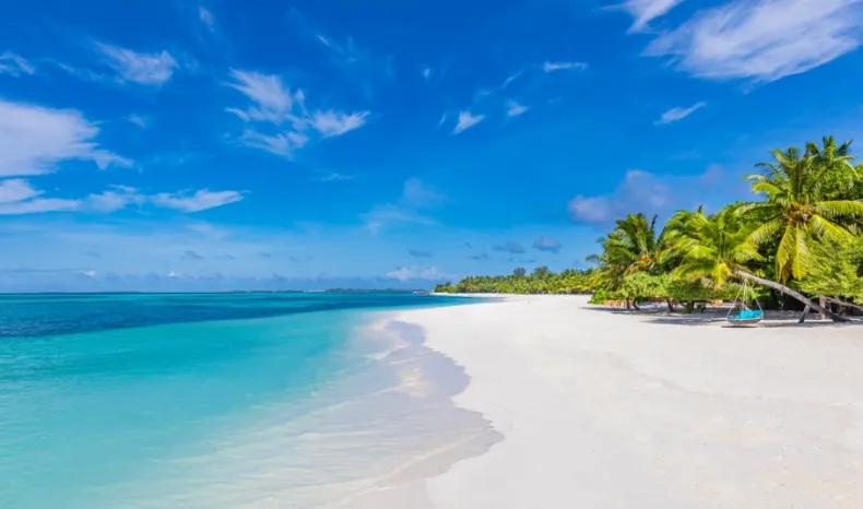 Tropical Beach