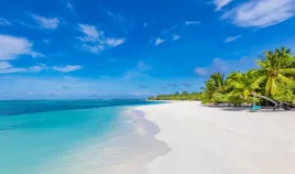 Tropical Beach