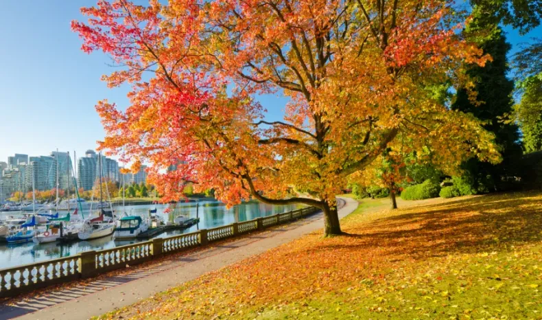 Stanley Park, Vancouver BC