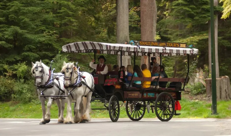 Horse drawn carriage at Stanley Park