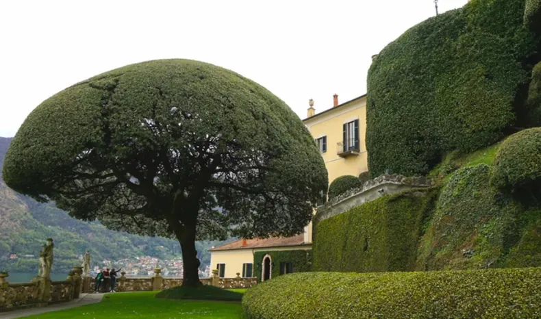 Villa del Balbianello Garden