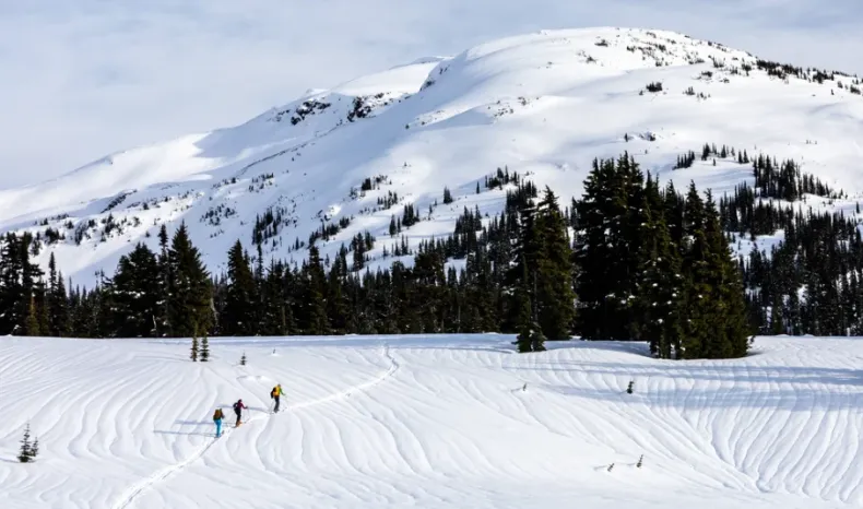Skiing in Whistler BC