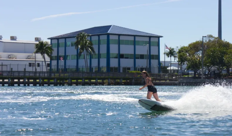 LIND Surfboard