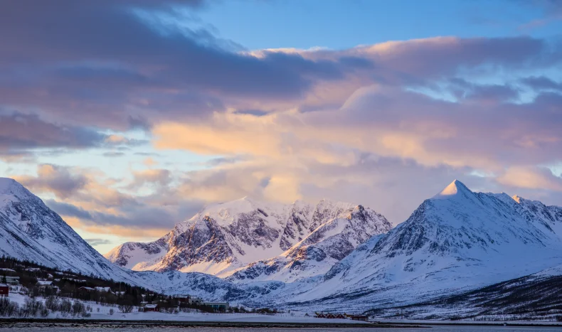 Arctic