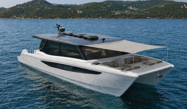 SilverCat 47